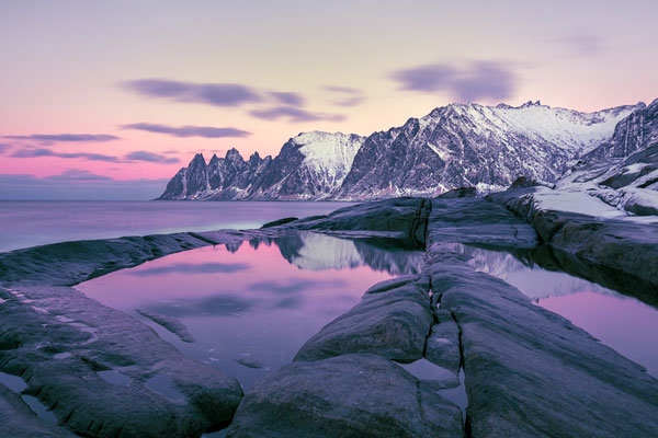 Arctic purple